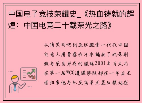 中国电子竞技荣耀史_《热血铸就的辉煌：中国电竞二十载荣光之路》
